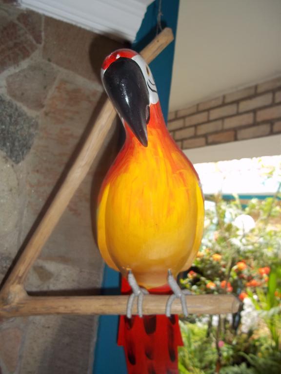 Pousada Riacho Doce Caraguatatuba Quarto foto